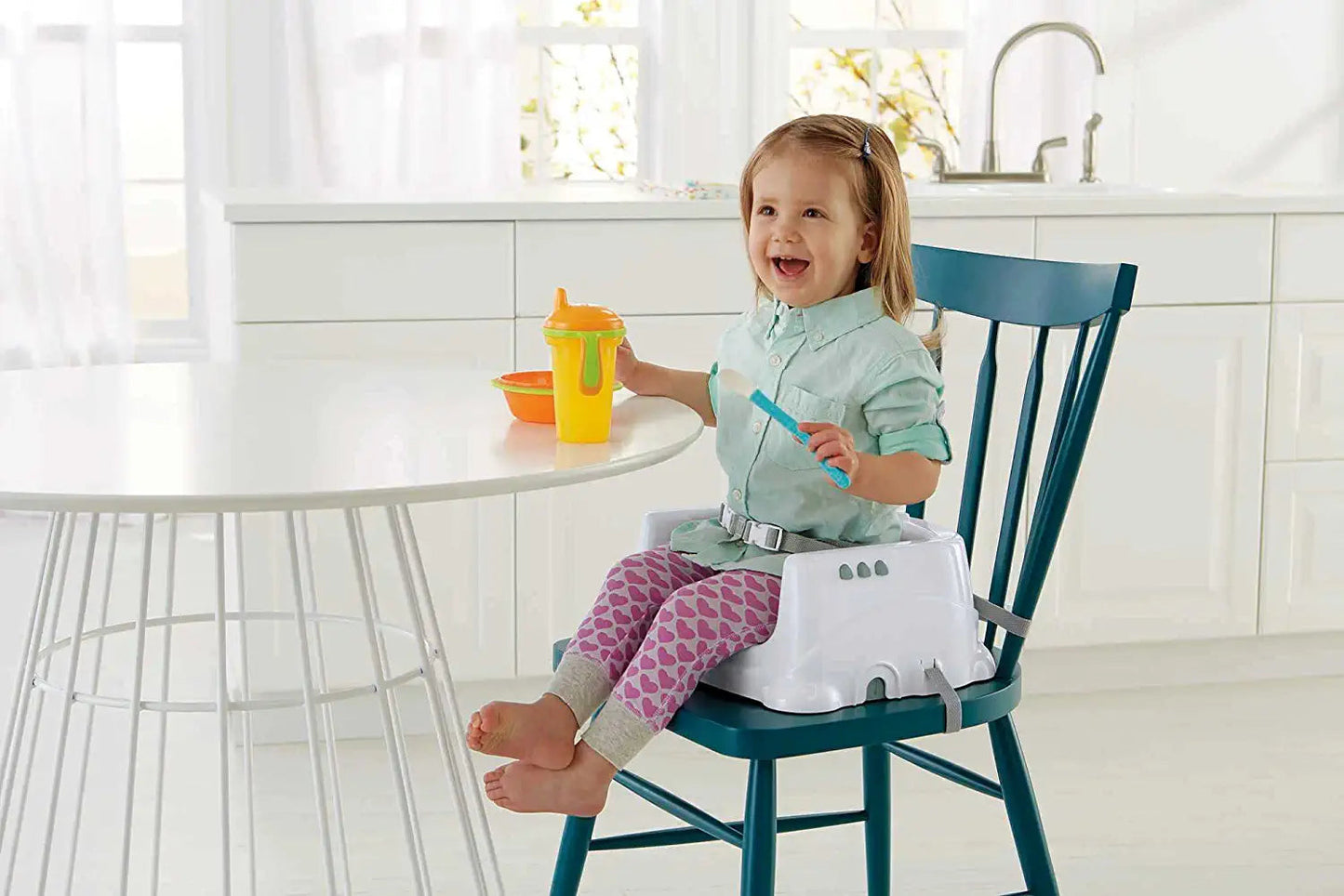 Fisher-Price Healthy Care Deluxe Booster Seat