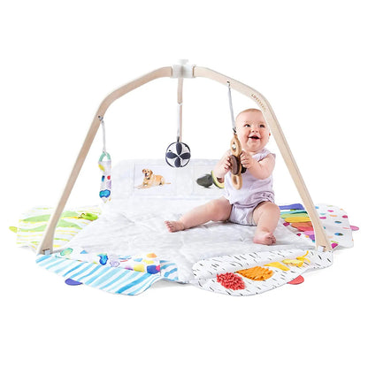 Stage-Based Developmental Activity Gym